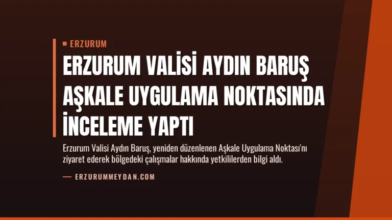 Erzurum Valisi Aydın Baruş Aşkale Uygulama Noktasında İnceleme Yaptı
